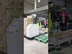 Fournisseur de solutions pour robots industriels chinois de palletisation collaborative