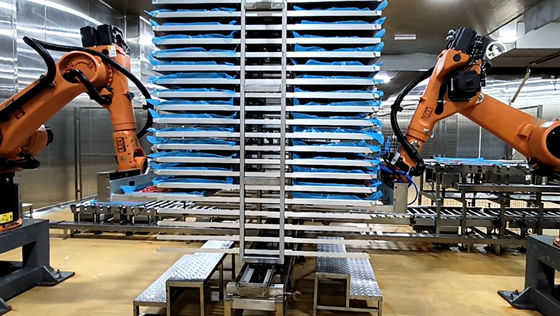 Robots de palettes Technologie alimentaire KUKA KR60-3 Cellule de robot industriel