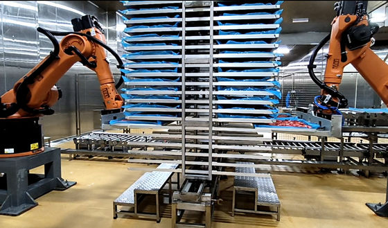 Le robot industriel de palettisation fournit une solution unique